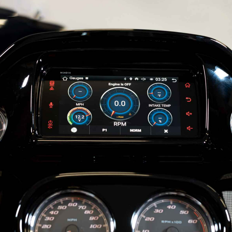 Diamond Audio MSHD14 showcasing the gas, MPH and temperature gauges. 