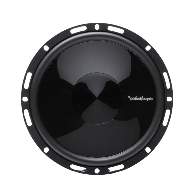 Close-up of PEI dome tweeter and midrange speaker from P165-SE system