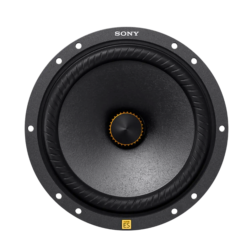 Sony XS-163ES Mobile ES™ 6.5